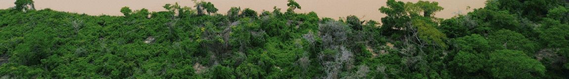 Pacotes de viagens bonito e Pantanal pantanal, bonito, passeios em bonito,