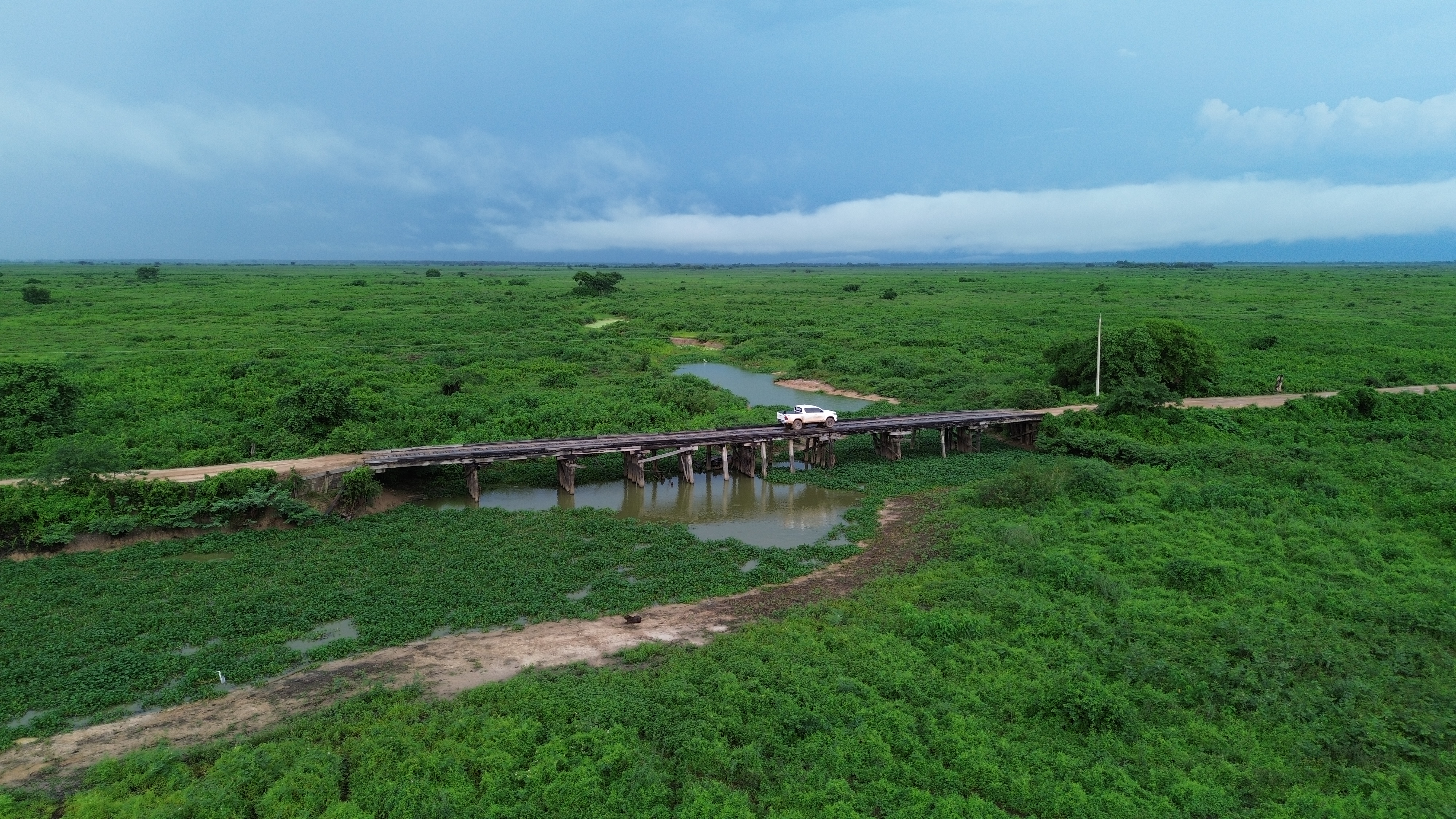 Pantanal: a cheia dá lugar à seca