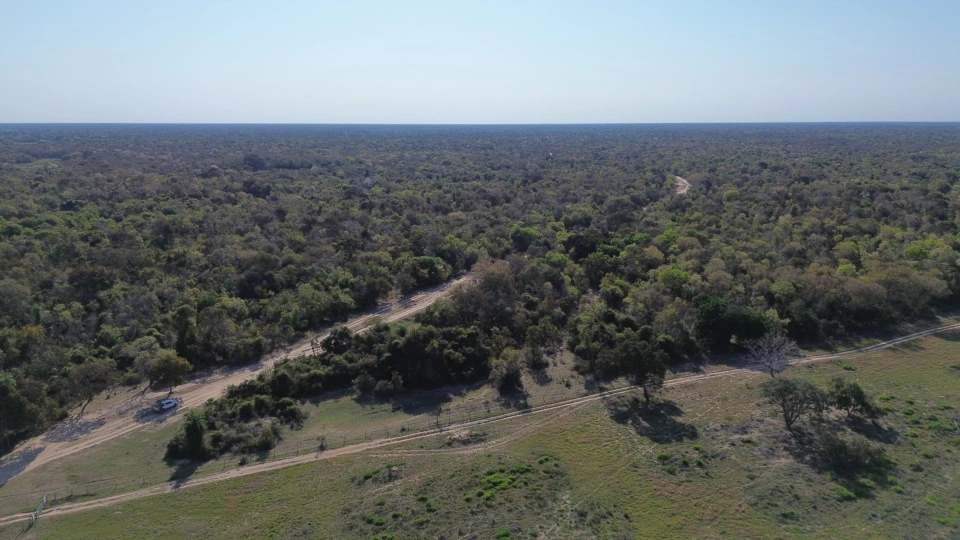 Payment for Environmental Services: A New Horizon for Conservation in the Pantanal