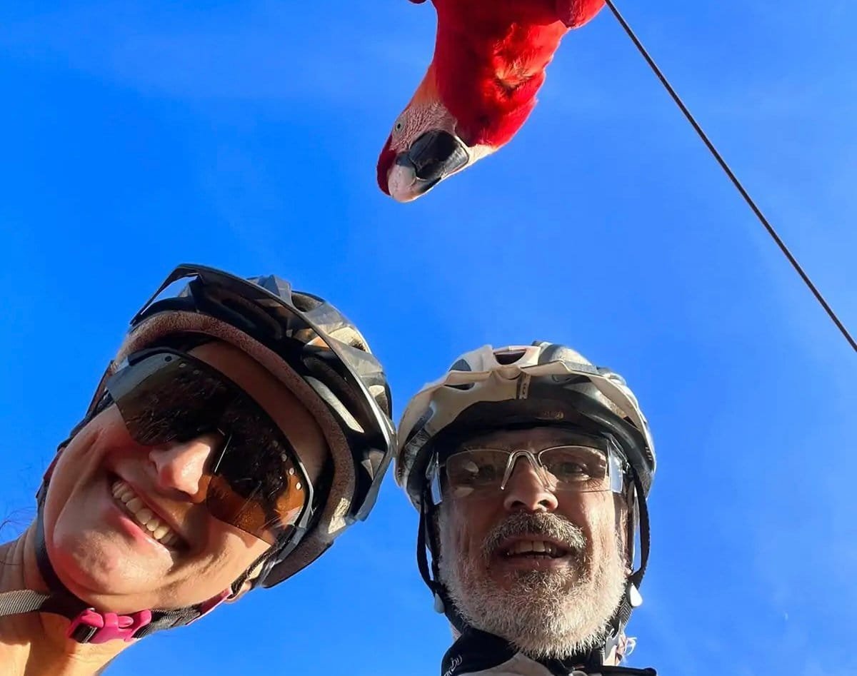 Macaw Becomes 'Friend' of Couple During Bike Ride in MT