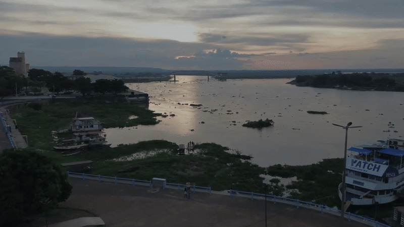 Melhor época para visitar o Pantanal: seca ou cheia?