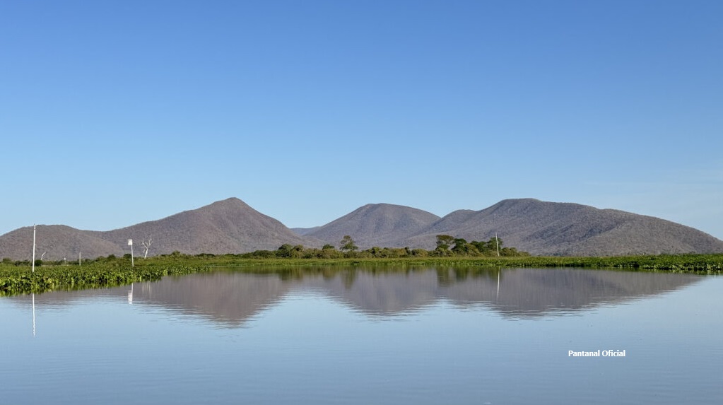 MS investe R$ 6 milhões em projetos de conservação do Pantanal