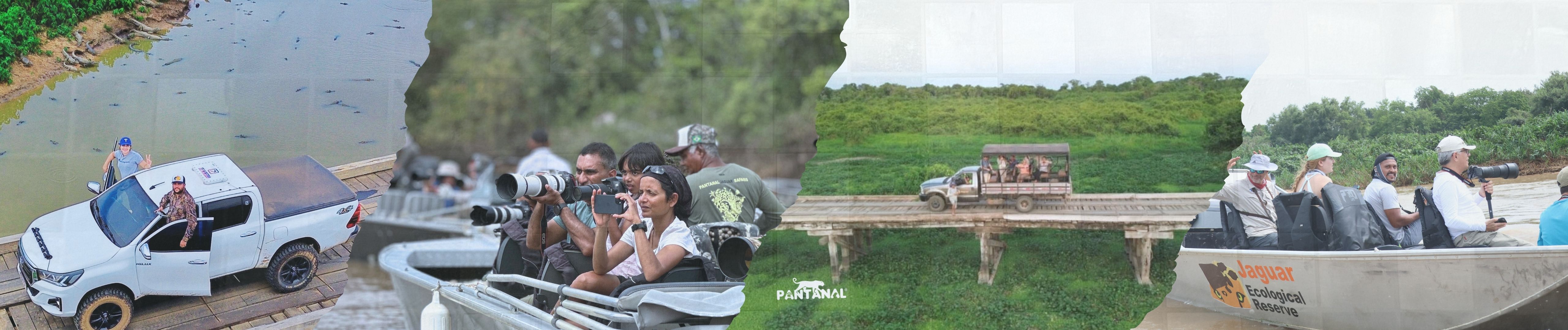 Safaris Fauniques en Famille au Brésil