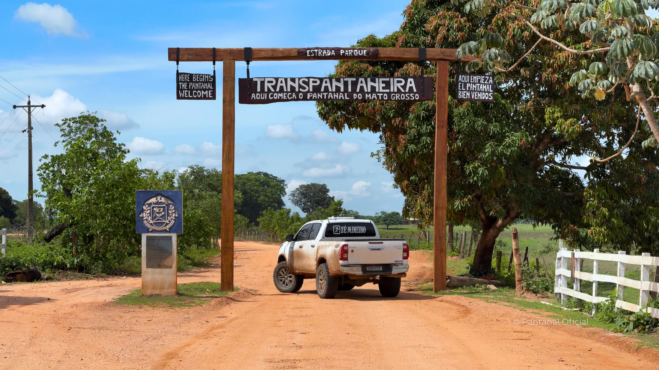 The Transpantaneira Road Safari Experience