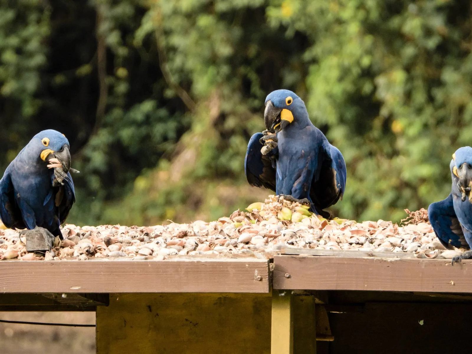 642bd4f1fb98e38090b79a95e302b38a