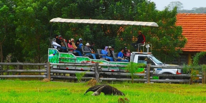 Bonito + Pantanal — 8 Dias