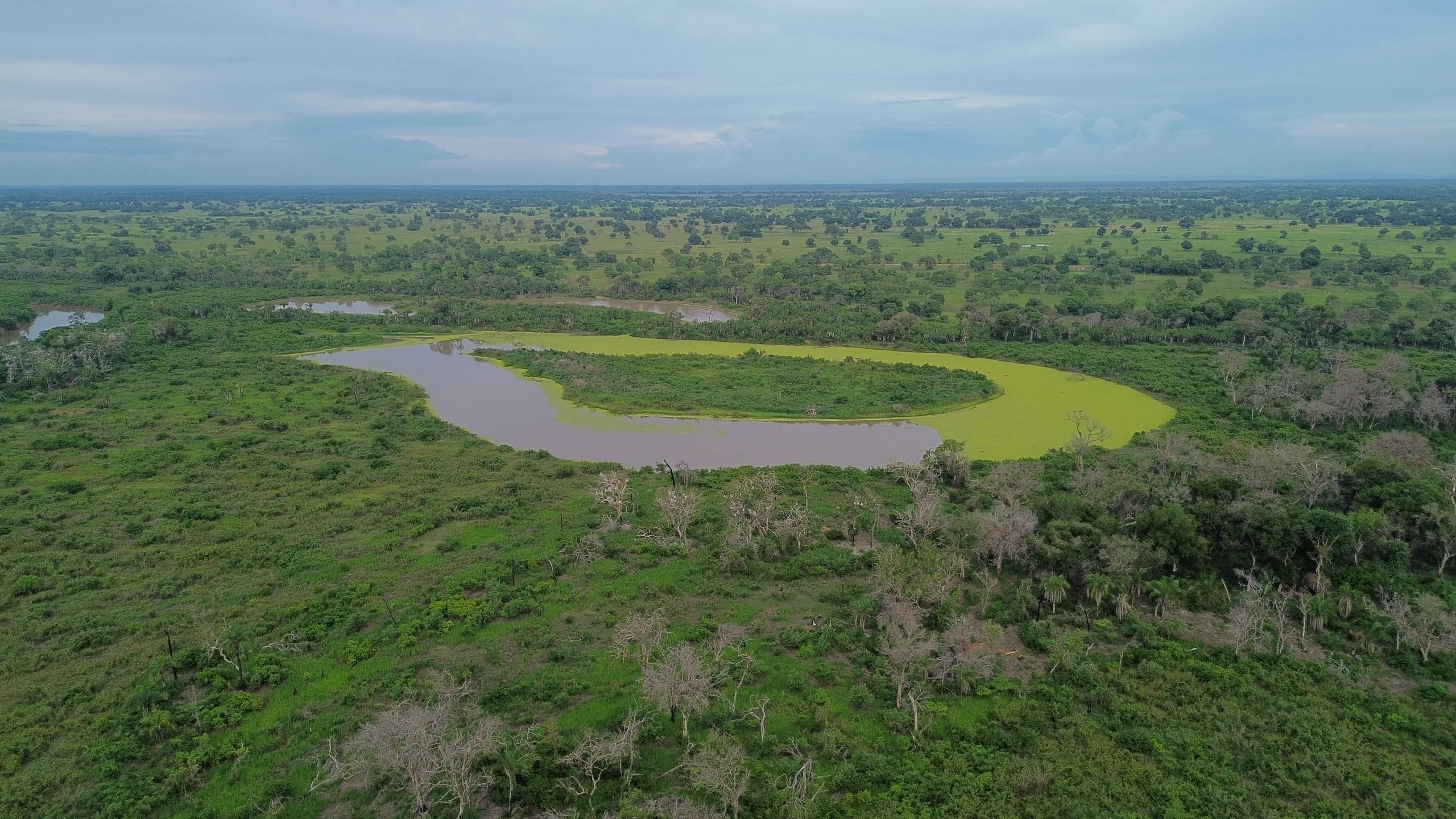 Pantanal 23