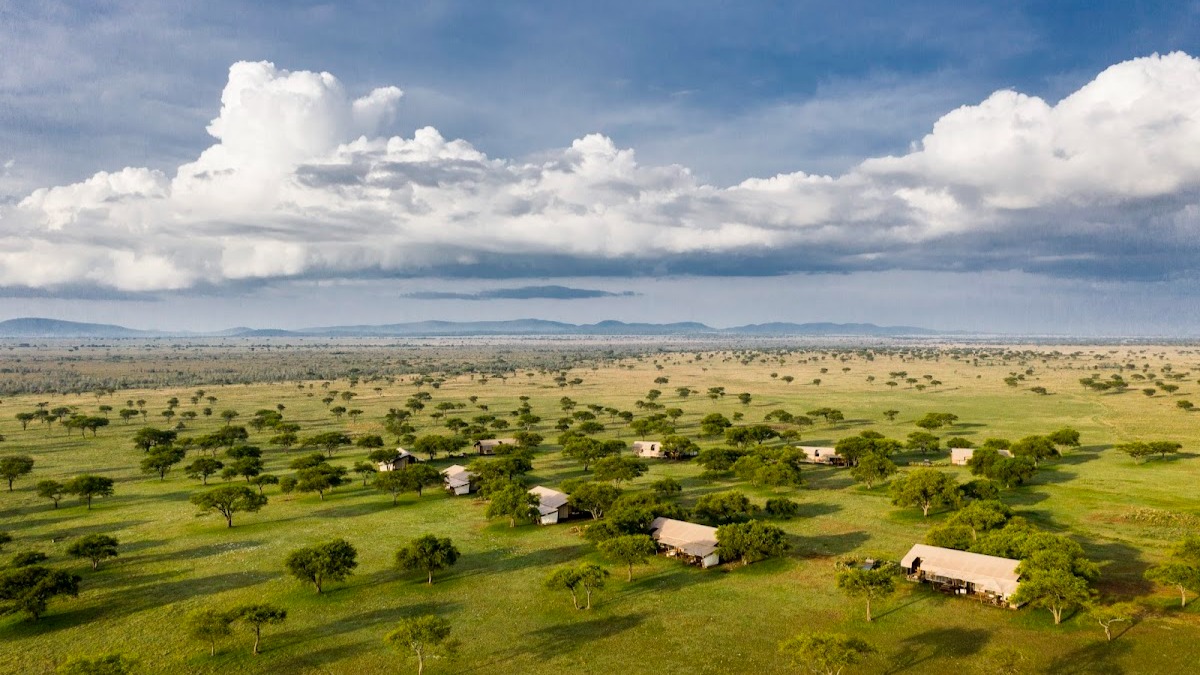 Serengeti Plains Come Alive: Dispatches from Singita Sabora Tented Camp