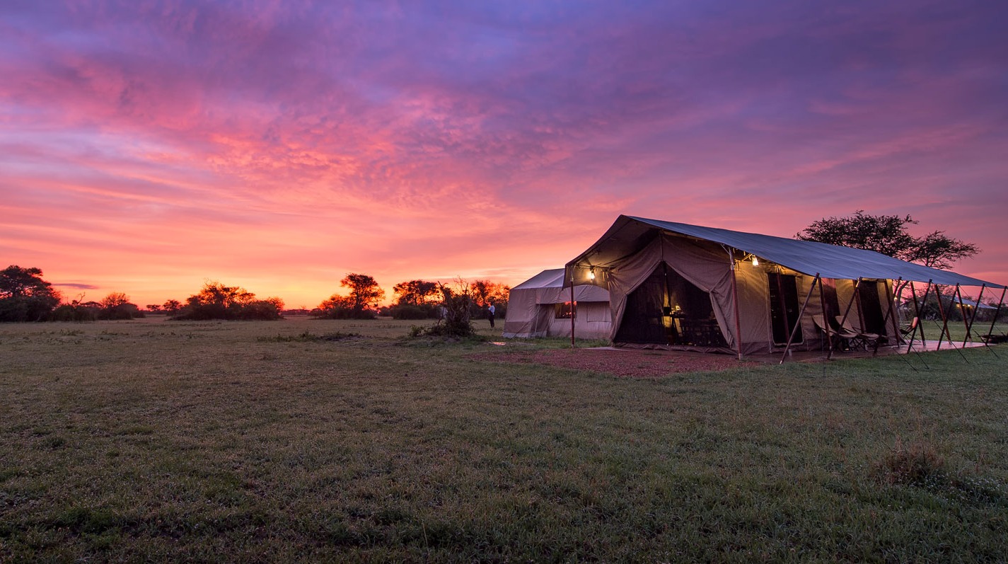 Canvas Amid the Migration: Inside Days at Singita's Explore Tented Camp