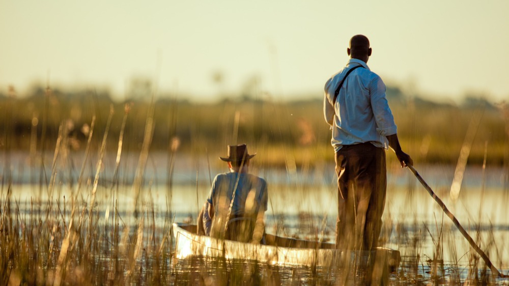 Whispers of the Luangwa: Journal from Singita Elela's Riverbanks