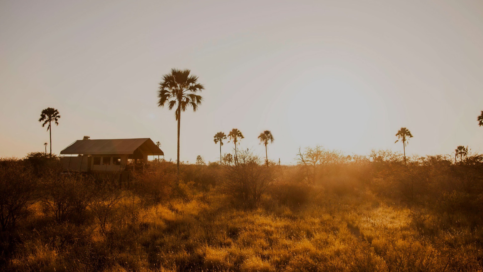Botswana's Kalahari Core: Daily Life at Camp Kalahari Revealed