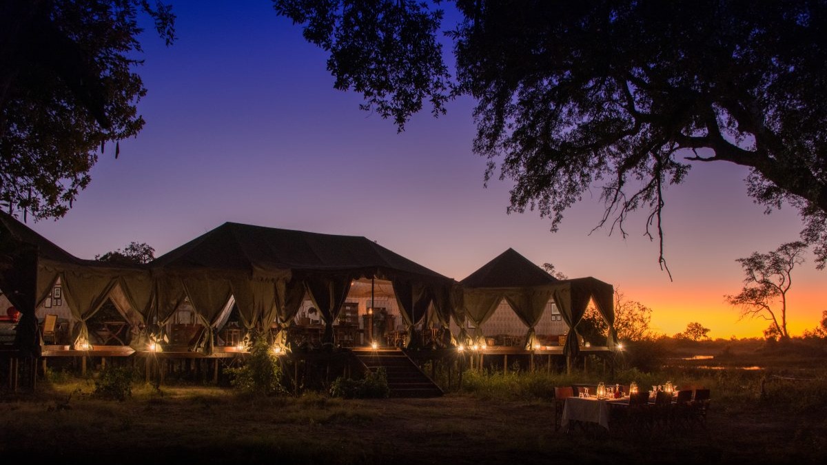 Botswana's Duke's Camp: A Week Tracking Predators in the Savanna
