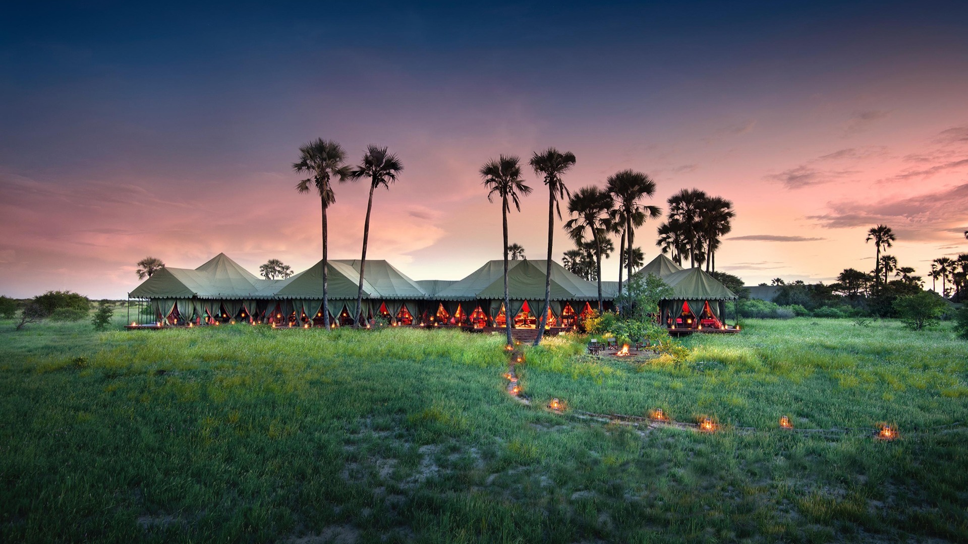 Botswana's Makgadikgadi Oasis: Inside a Week at Jack's Camp