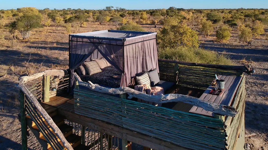 Elevated Nights: One Traveler's Skybeds Journal in Botswana's Wilds