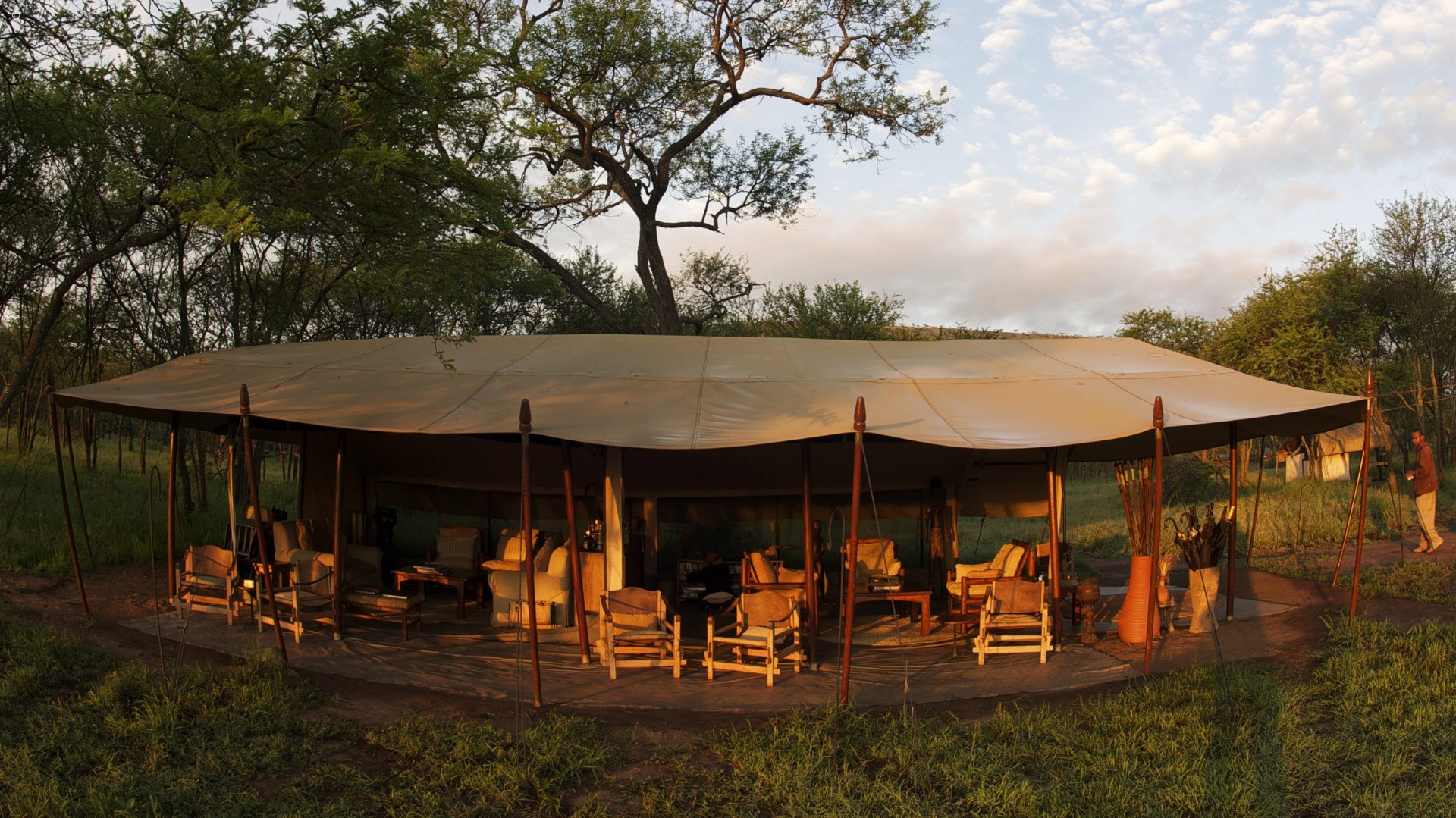 Serengeti Shadows: One Night in Dunia Camp's Riverside Tents