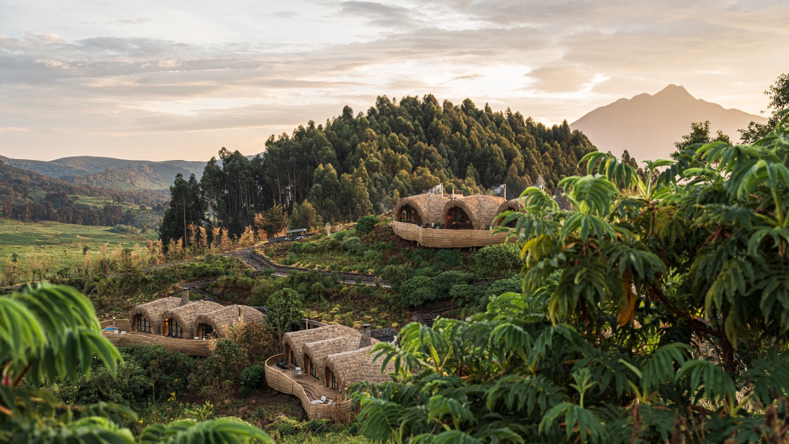 Gorilla Trails from Germany: Finding Rwanda's Finest Lodges After Frankfurt Flights