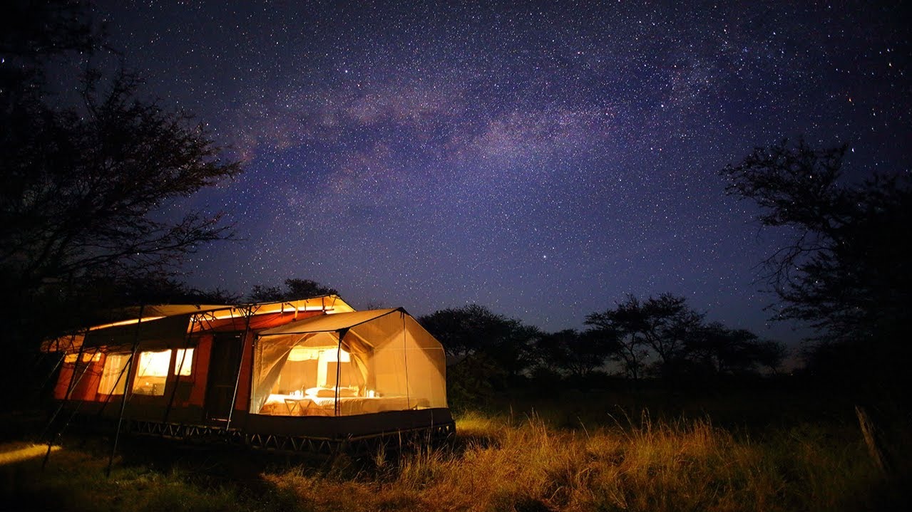 Tracking the Wildebeest at Olakira: A Guest's Chronicle from Migration Camp Tents