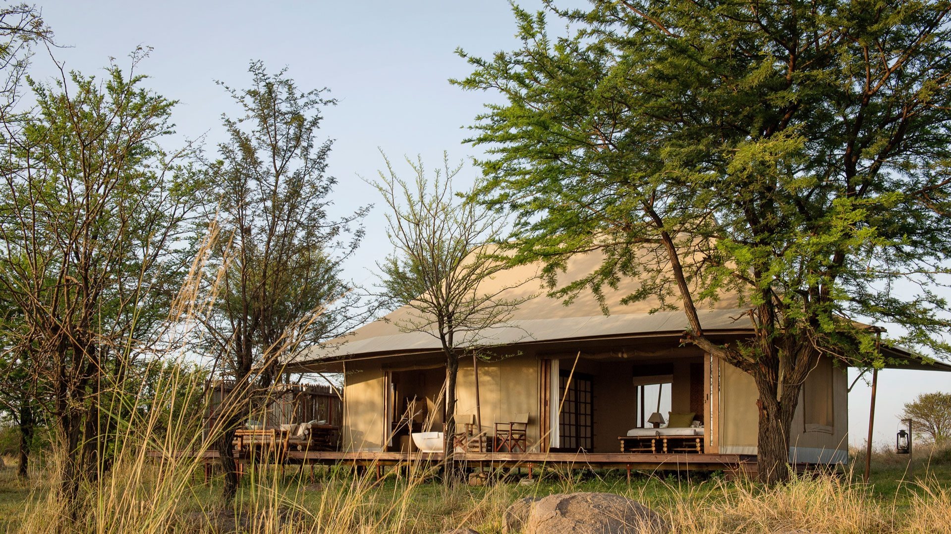 From Deck Chairs at Sayari: Noted Moments Tracking Elephants Across Endless Plains