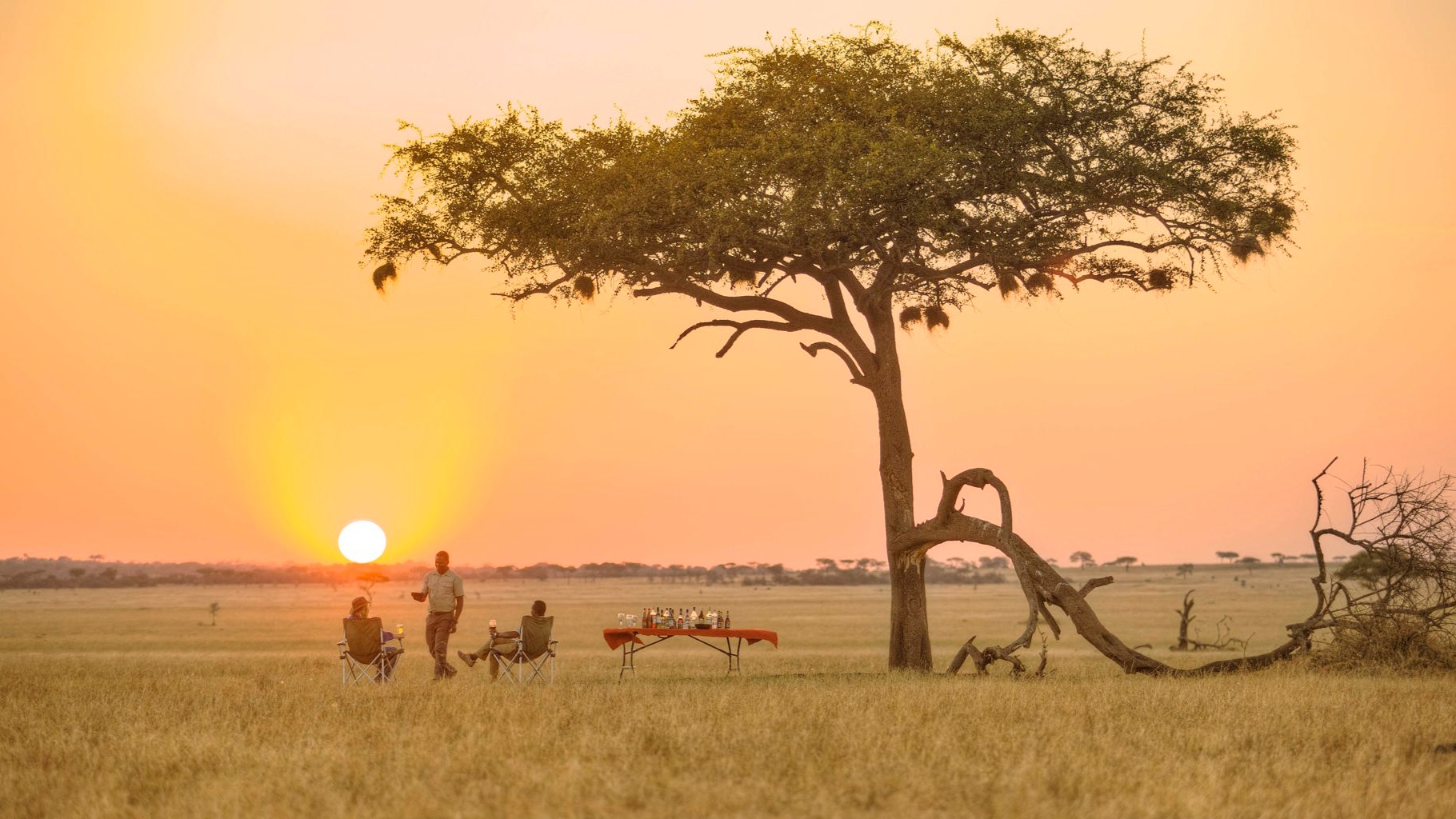Serengeti Tents in Motion: Living the Migration at Ubuntu Camp