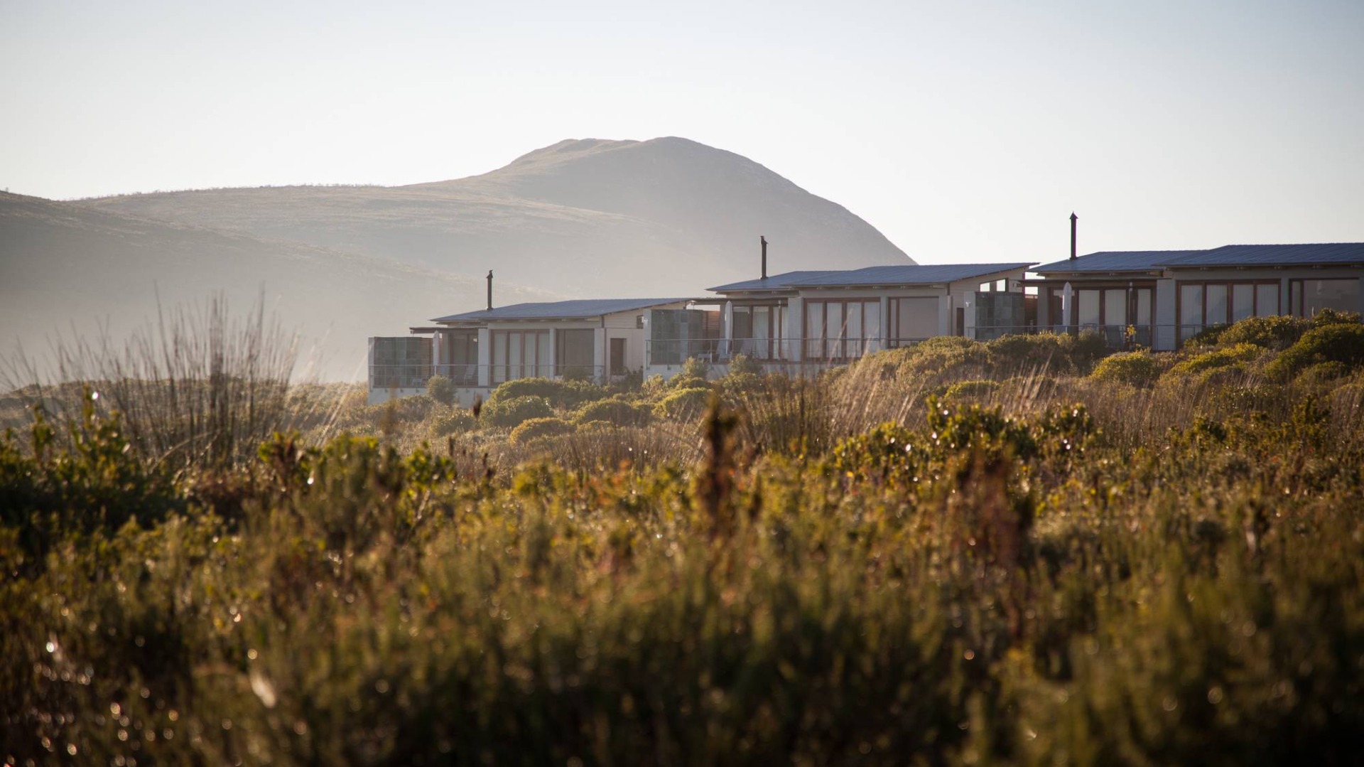 Grootbos Forest Lodge Essentials: Rooms, Trails, and Access Guide