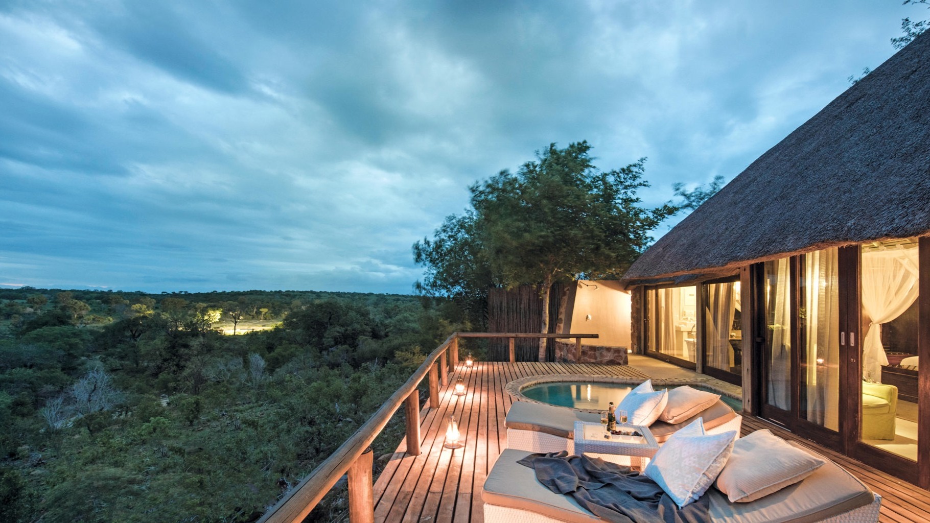 Sabi Sand Spotlight: Dispatches from Leopard Hills Reserve
