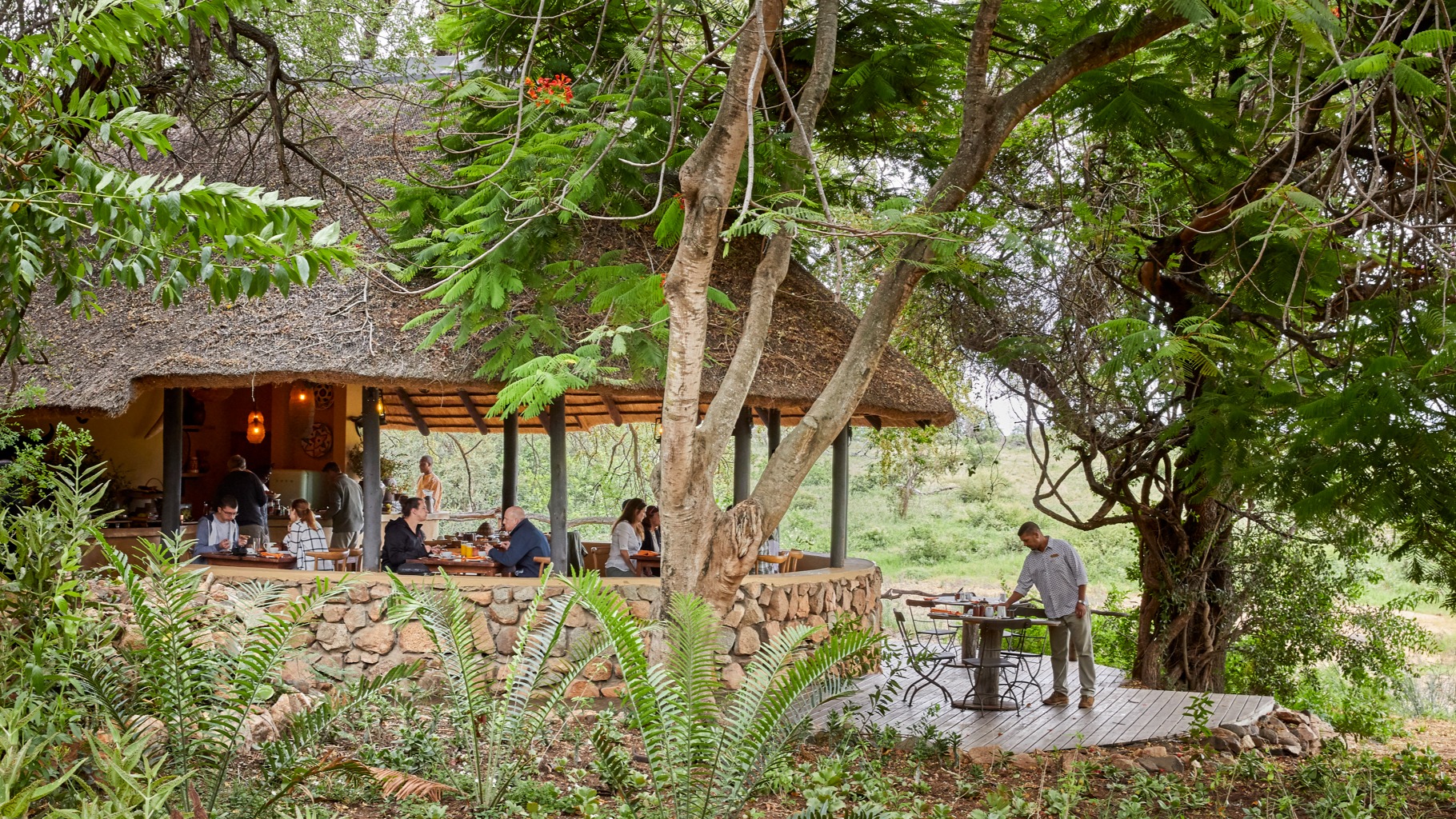 Days at Motswari Game Lodge: A Field Journal from Timbavati