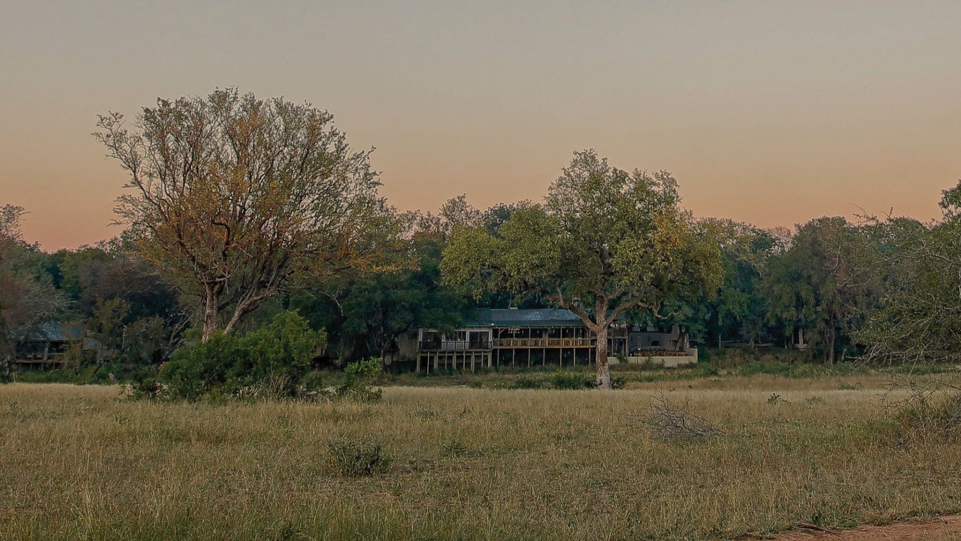 Sabi Sand's Family Legacy: Inside Notten's Bush Camp Operations