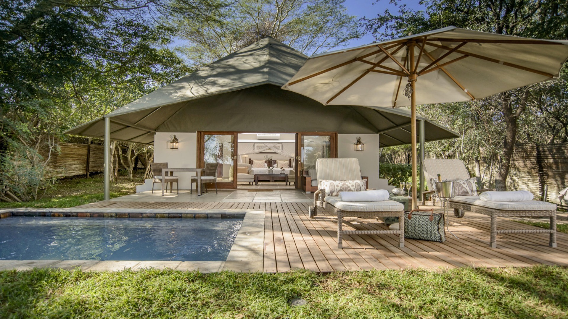 Whispers from the Veld: A Guest's Chronicle at Savanna Private Game Lodge