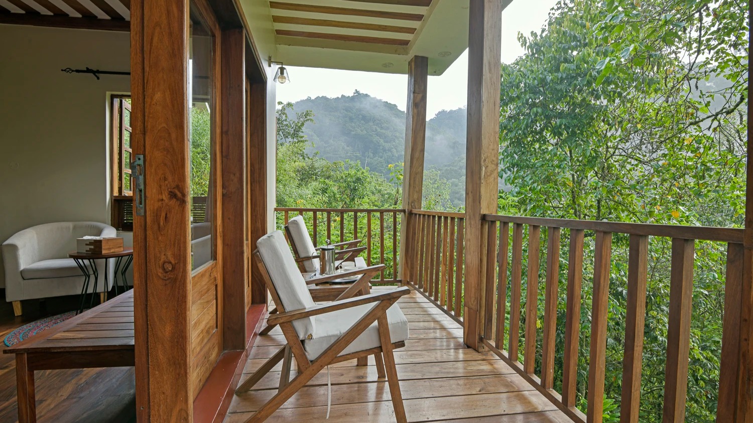 Intimate Encounters: A Stay at Four Gorillas Lodge Recounted