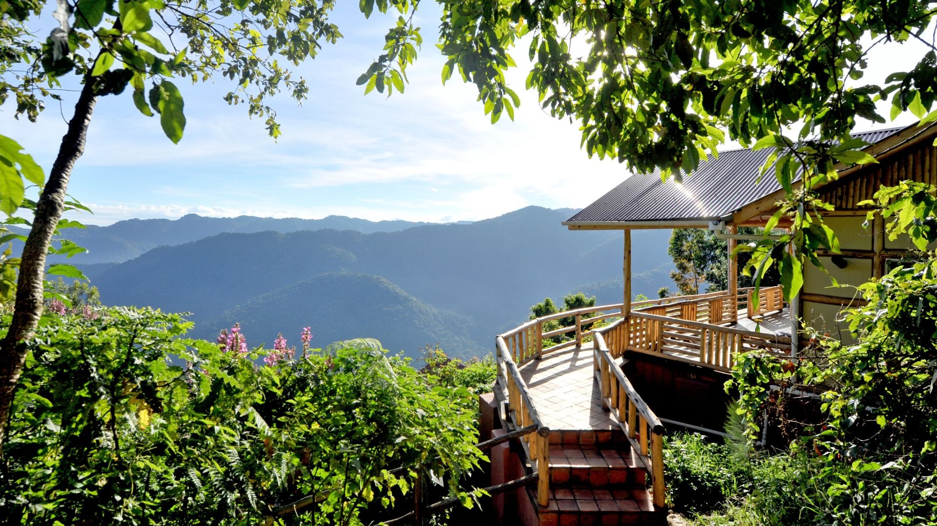 A Quiet Morning Among Bwindi's Mist at Nkuringo Gorilla Lodge