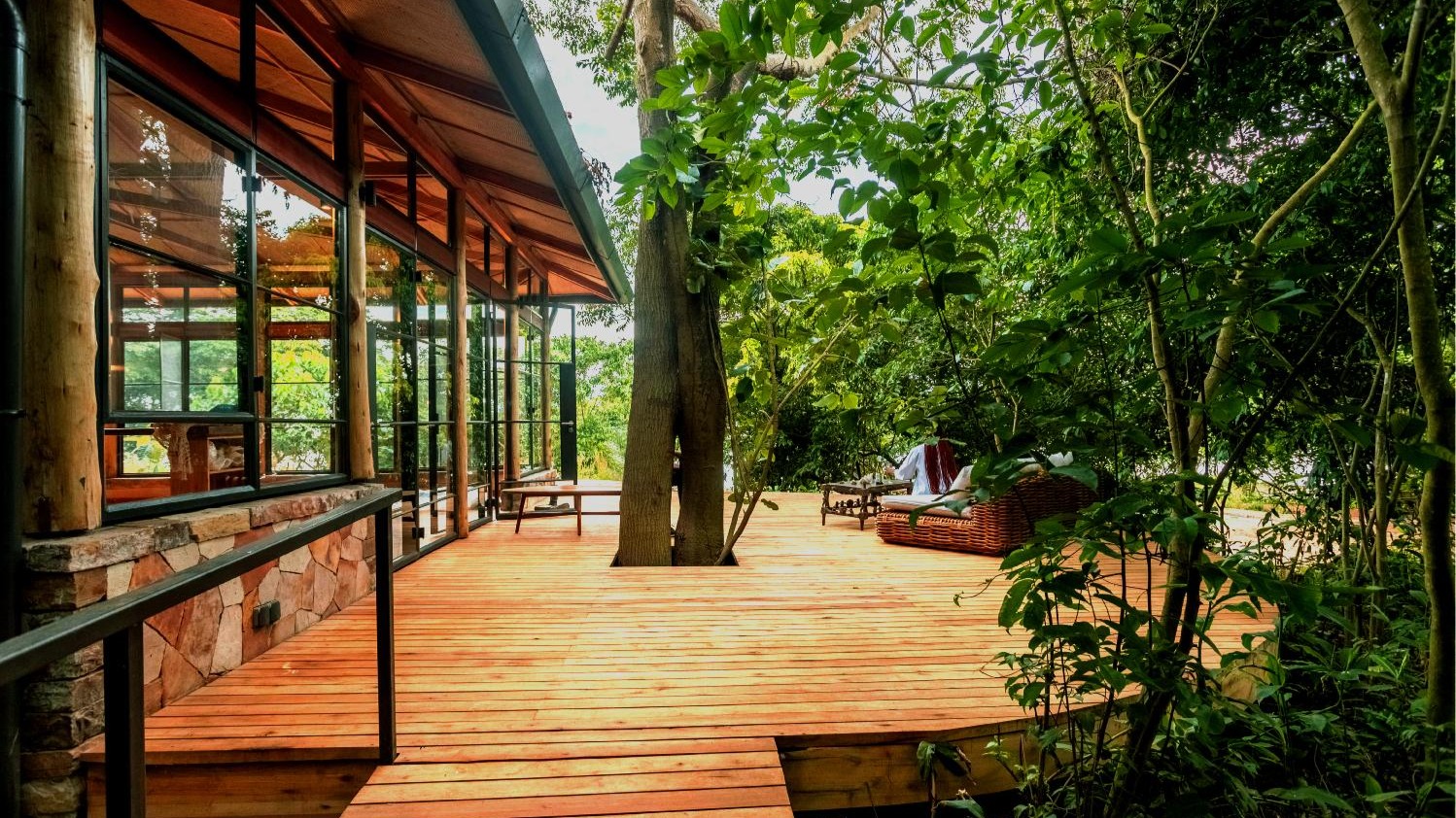 Forest Canopy Mornings: Logging a Day at Entebbe Forest Lodge