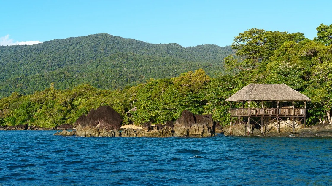 Awakening to Aye-Ayes: A Naturalist's Chronicle from Masoala Forest Lodge
