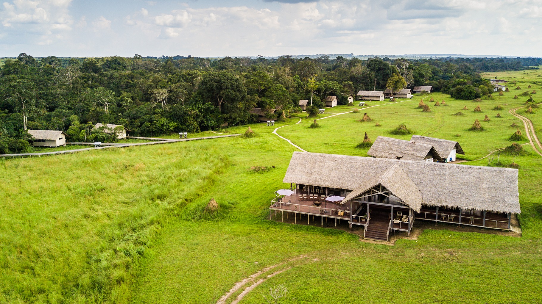 Riverside Days at Mboko Camp: Tracking Forest Elephants in Congo Basin