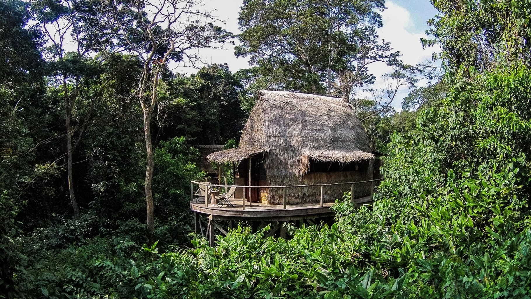 Forest Shadows Stir: Dispatches from a Week at Ngaga Camp