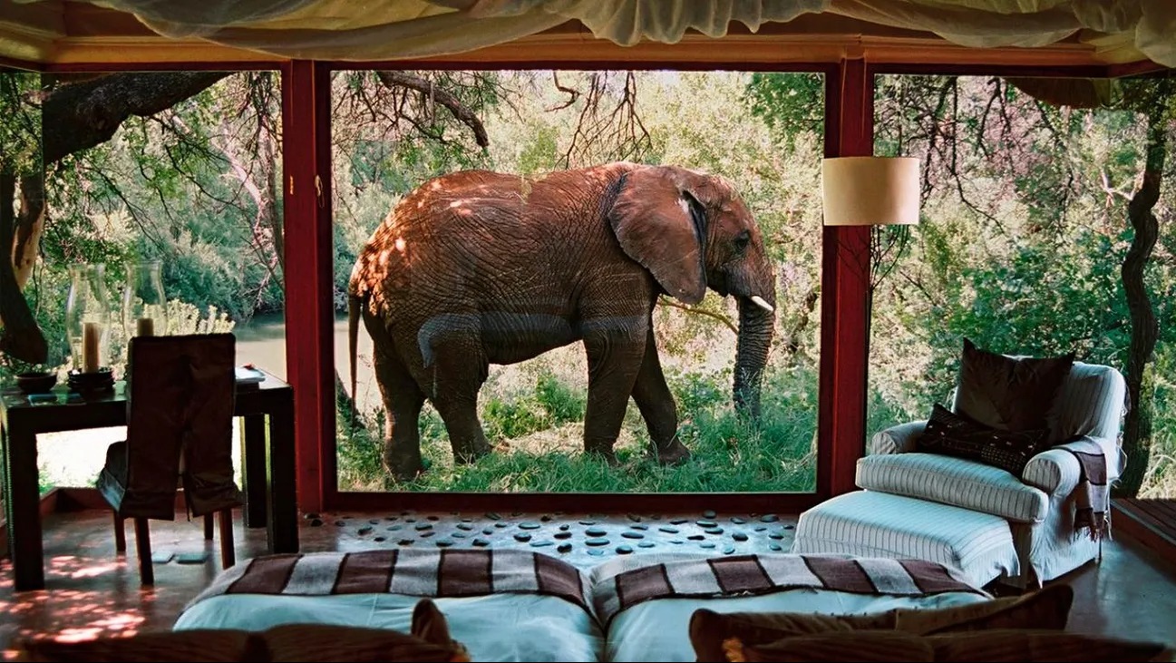 South Africa's Tourism Sector Announces 2026 Visitor Incentives and Infrastructure Boosts