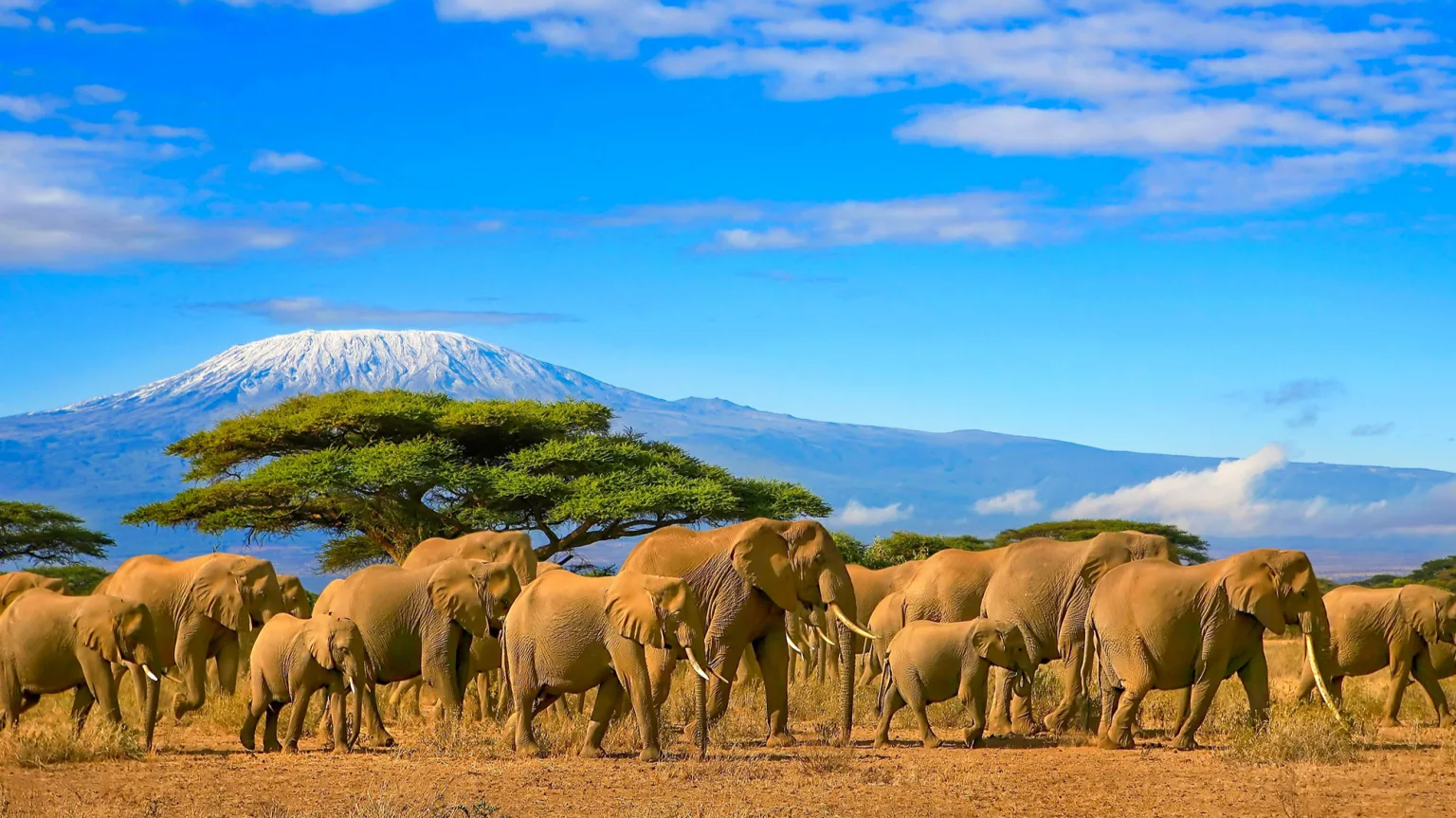 Tanzania's 2026 Conservation Mandates: Key Changes for Serengeti and Selous Reserves