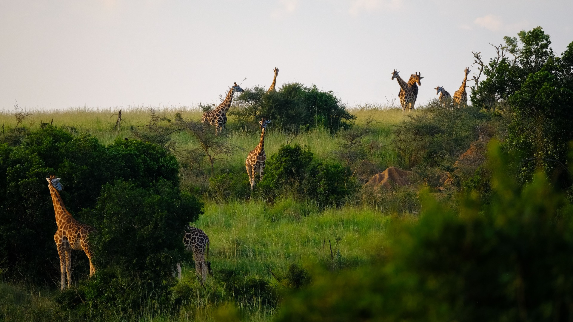 What I Wish I Had Known Before Stepping onto Ugandan Soil