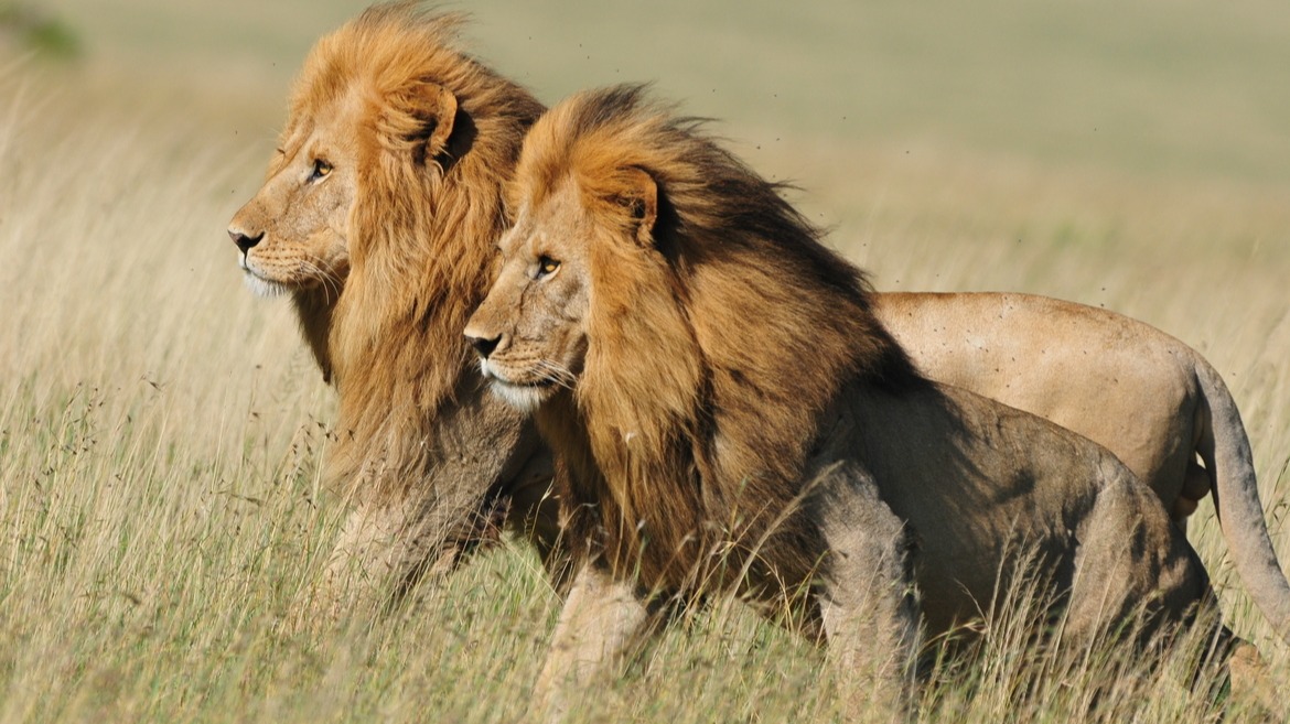 Why Tanzania Rewards Careful Preparation Over Spontaneity
