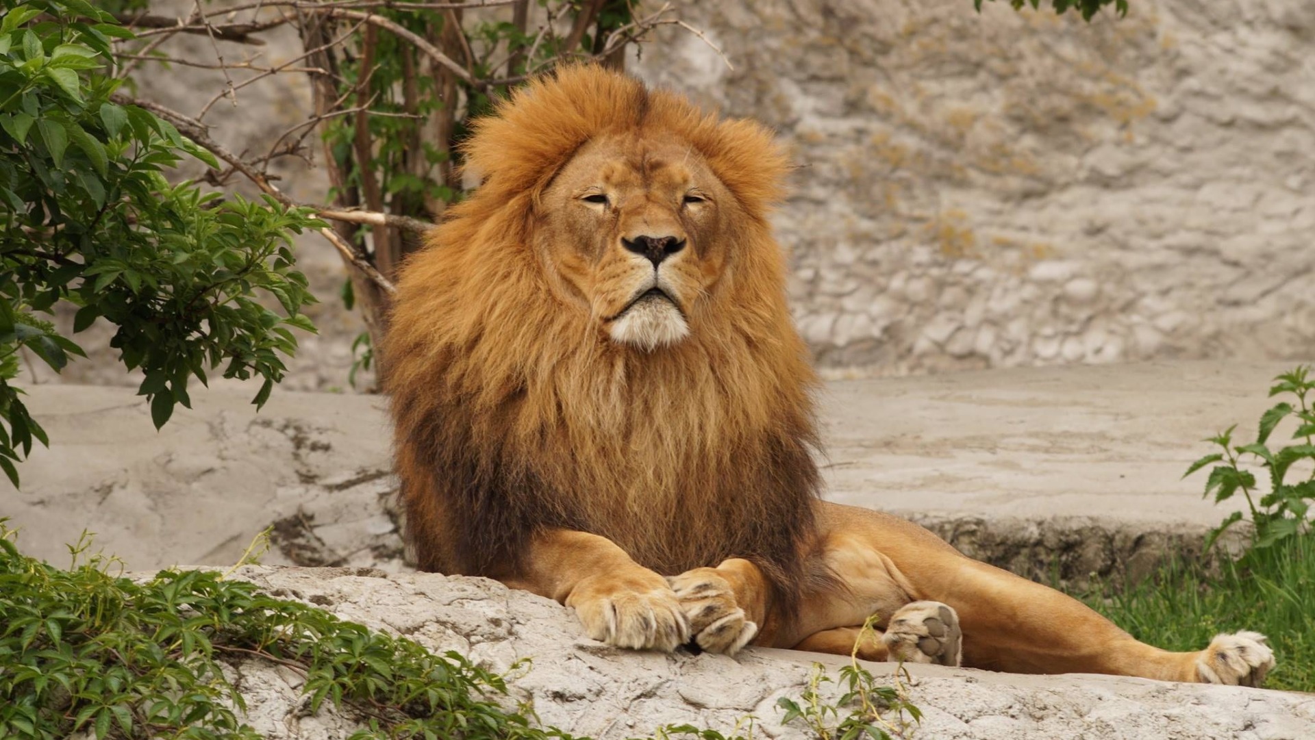 Why South African Wildlife Photography Demands More Than Just the Right Lens
