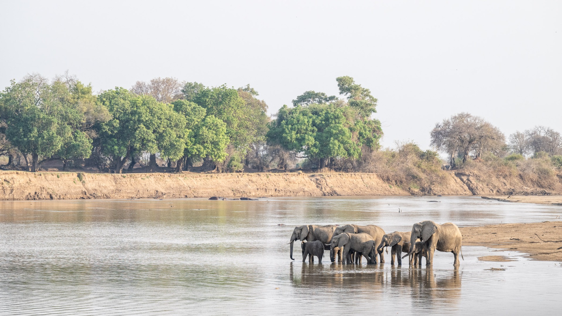 How to Choose the Right Luxury Lodge in Zambia for Your Safari Style