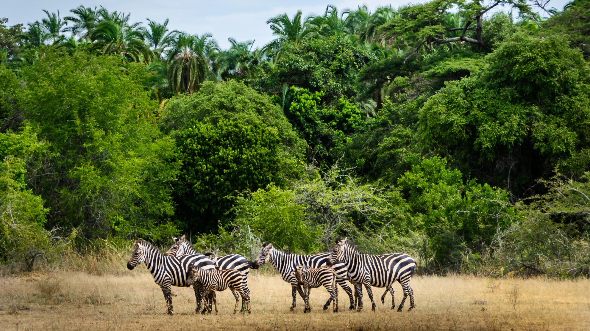 Practical Rwanda Travel Advice That Shapes Smoother Journeys