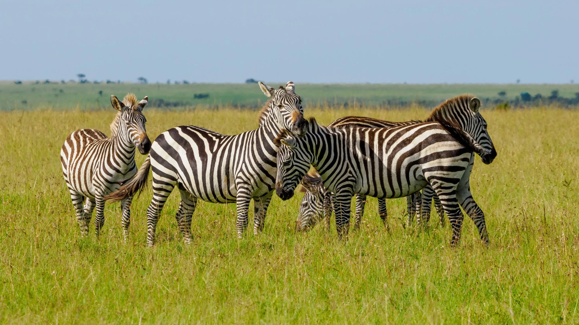 Practical Kenya Touring Advice That Prevents Common Safari Setbacks