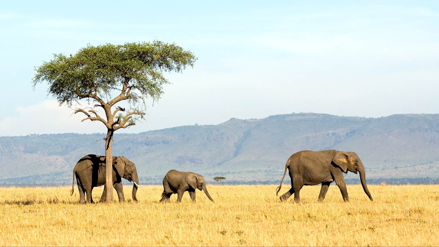 Why Tanzania's Vast Wilderness Demands a New Conservation Model