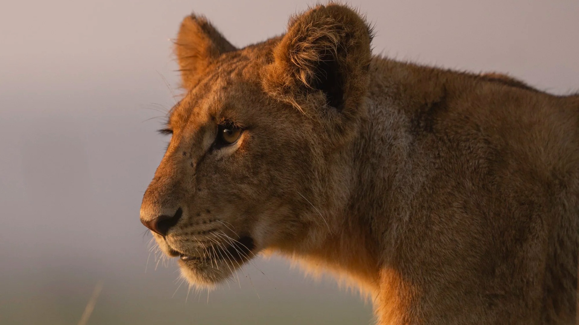Why Kenya Challenges Even Seasoned Photographers to Rethink Their Approach