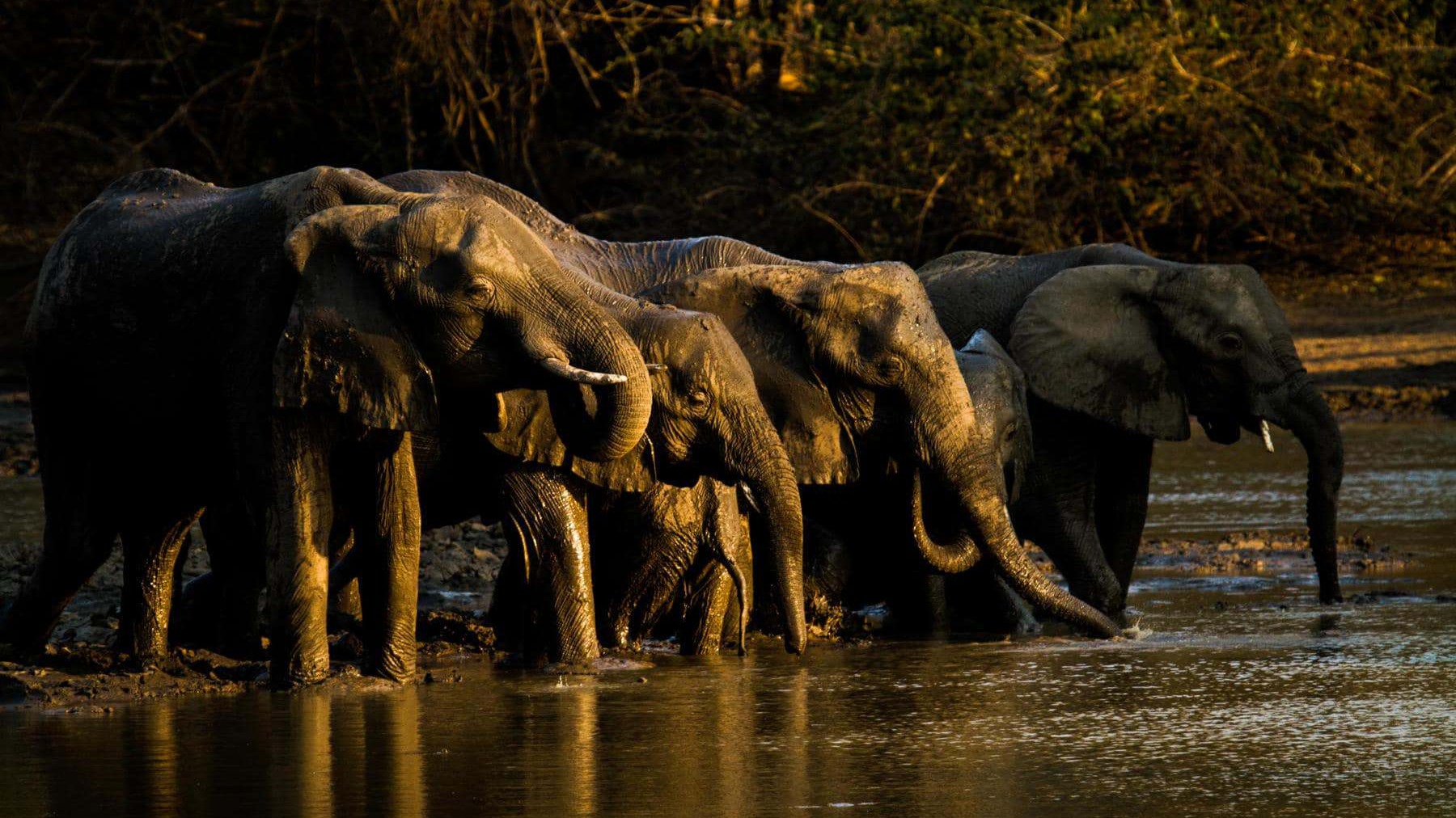 Through the Viewfinder: How Zimbabwe's Landscapes Reshape What Photographers Notice