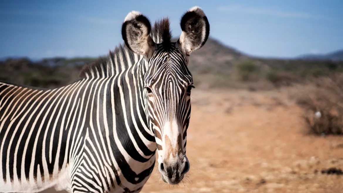 What I Wish I Had Known Before My First Journey Across Kenya