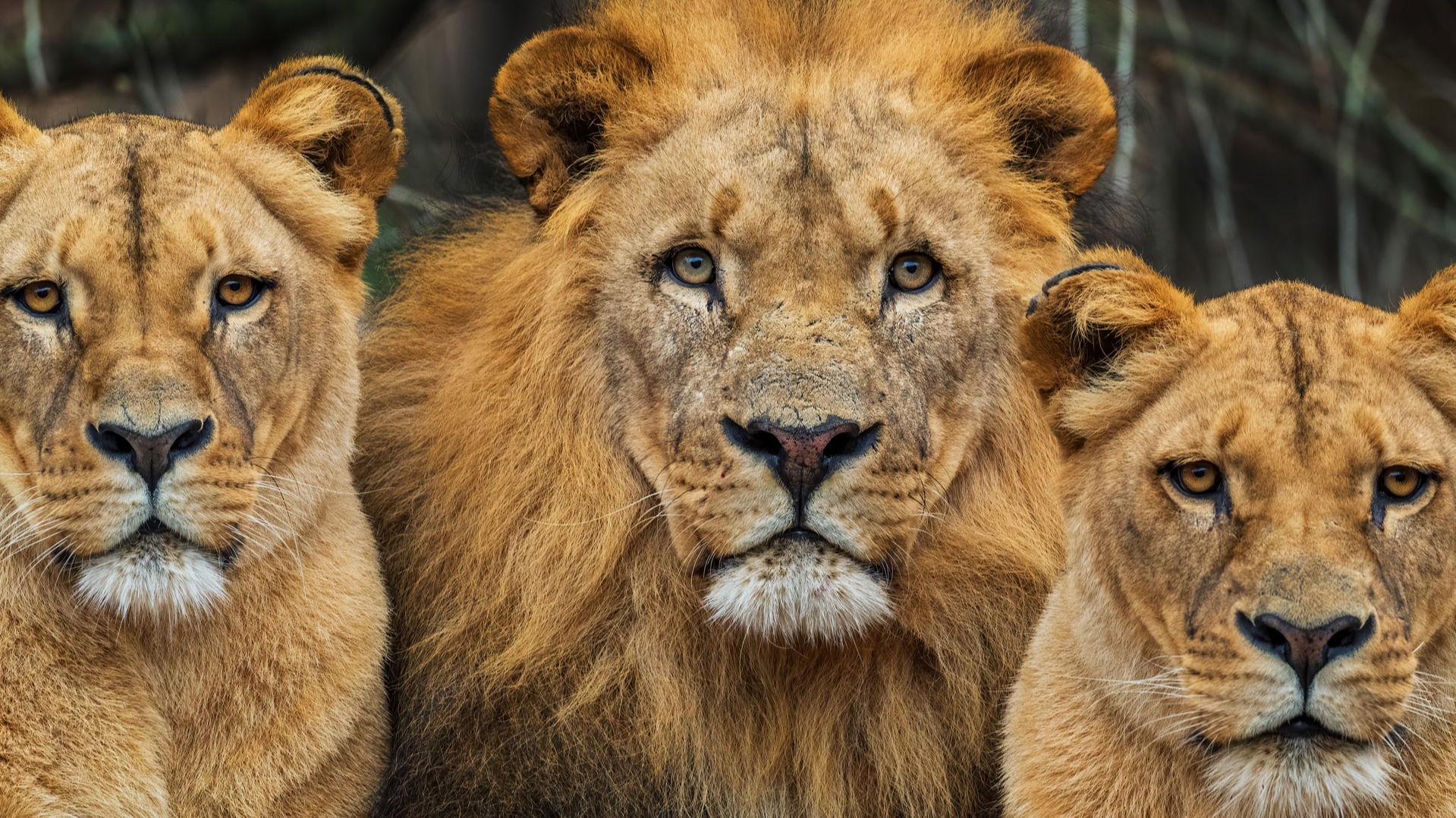 What First-Timers Rarely Expect When Touring Botswana’s Remote Landscapes