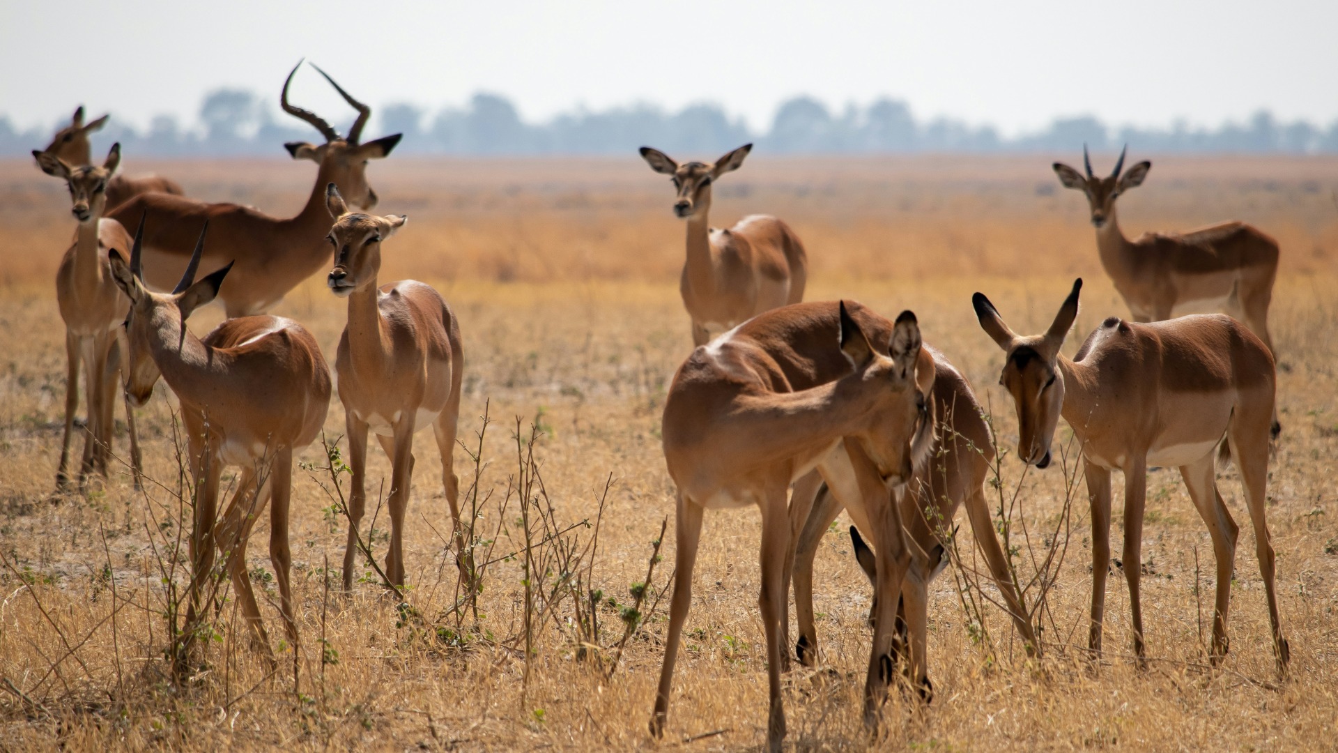 Maasai Mara Photography Tips to Capture Wildlife with Precision and Respect