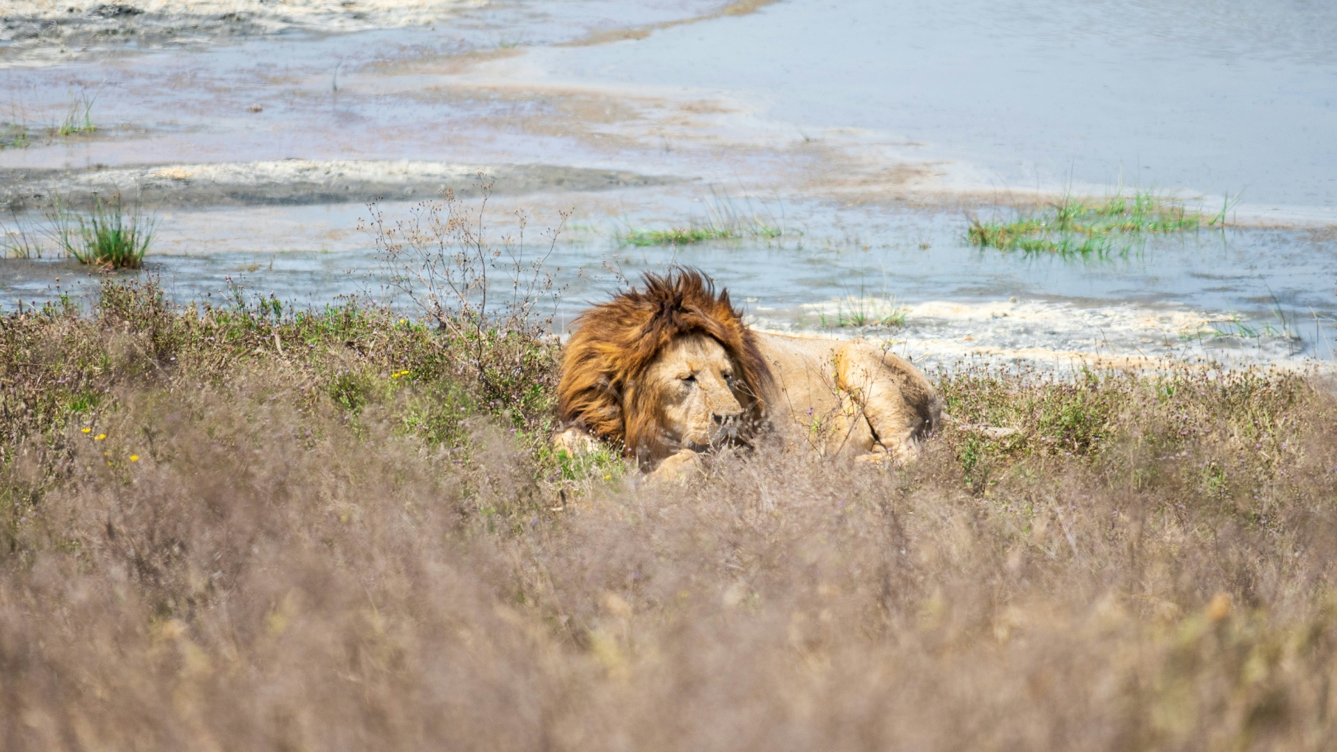 Why Every Traveler's Footprint Matters More in Tanzania Than You Realize