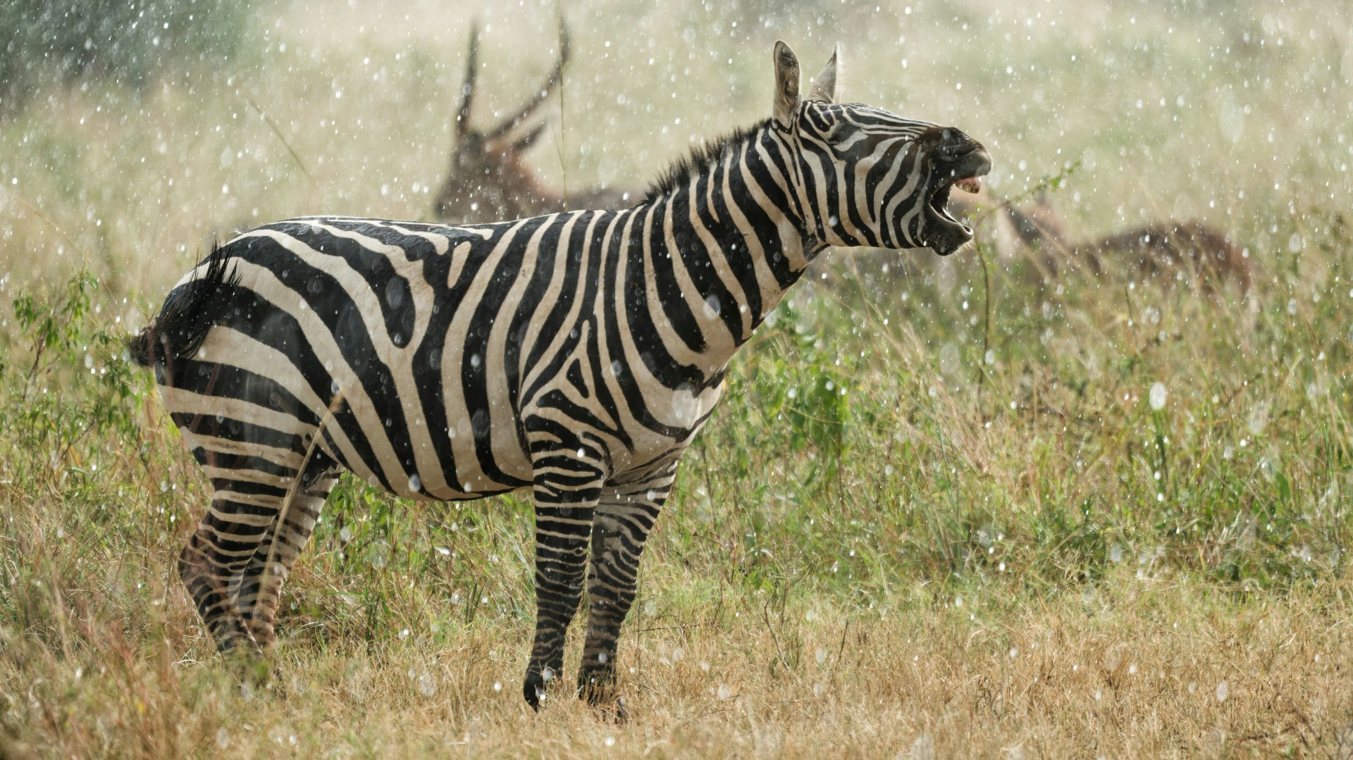 Practical Camera Settings for Capturing Zambia's Dramatic Landscapes at First Light